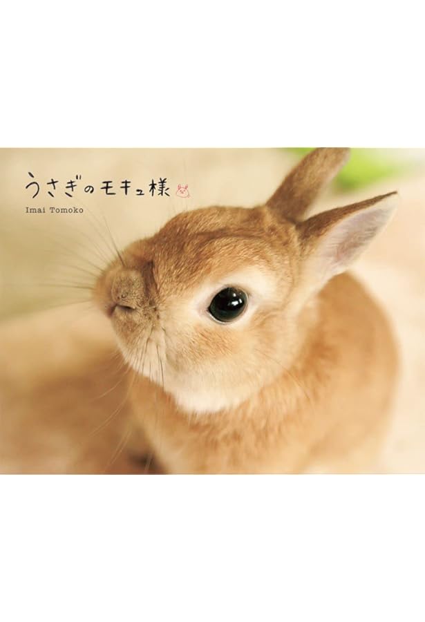 うさぎ様には敵わない | 中山ますみ |本 | 通販 | Amazon